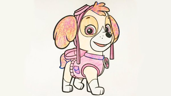 Щенячий патруль Скай рисовать