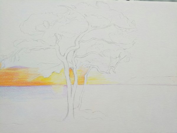 Закат с деревьями рисунок карандашом
