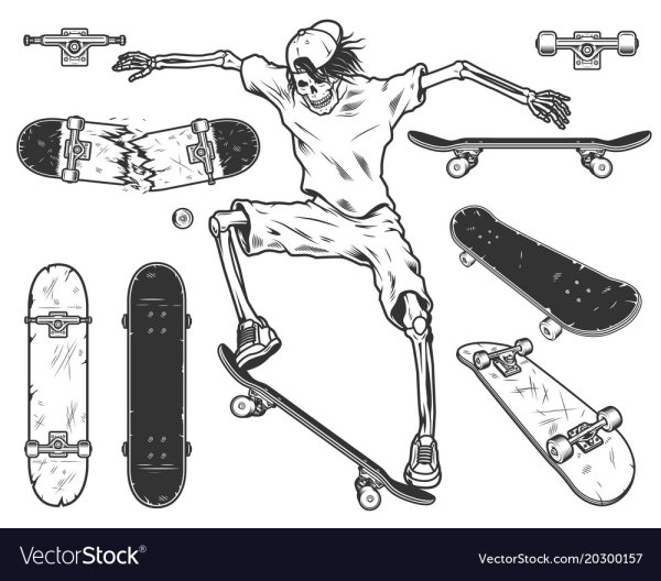 Скейтборд в разрезе