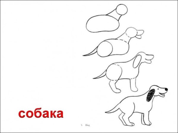 Схема рисования собаки простая для детей