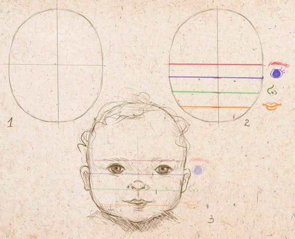 Пропорции головы ребенка для рисования