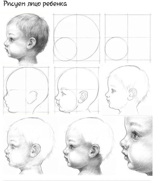 Пропорции головы ребенка для рисования