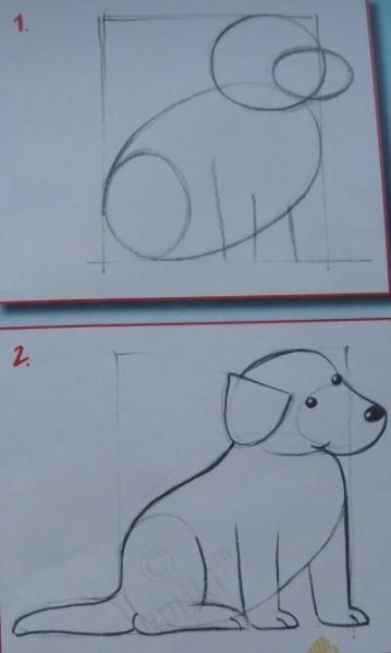 Рисование щенок в старшей группе поэтапно