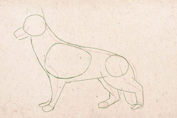 Поэтапное рисование лежащей собаки