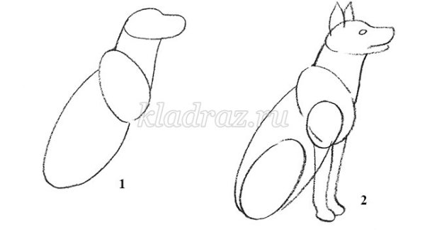 Поэтапное рисование каштанки