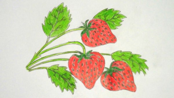Клубника для рисования