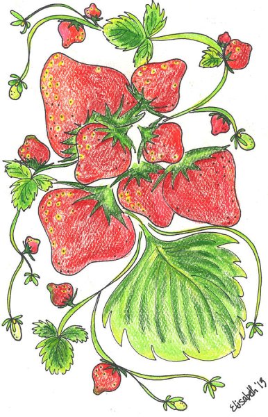 Рисование земляника