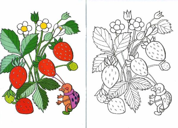 Раскраски для детей