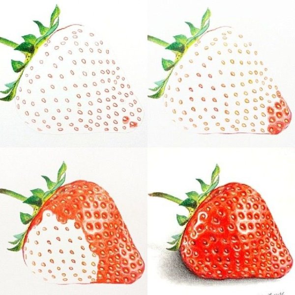 Клубника поэтапно