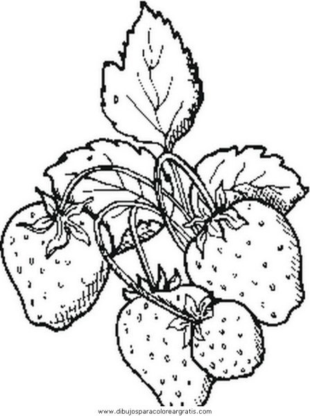Куст земляники раскраска