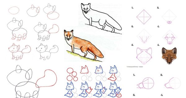 Поэтапное рисование лисы