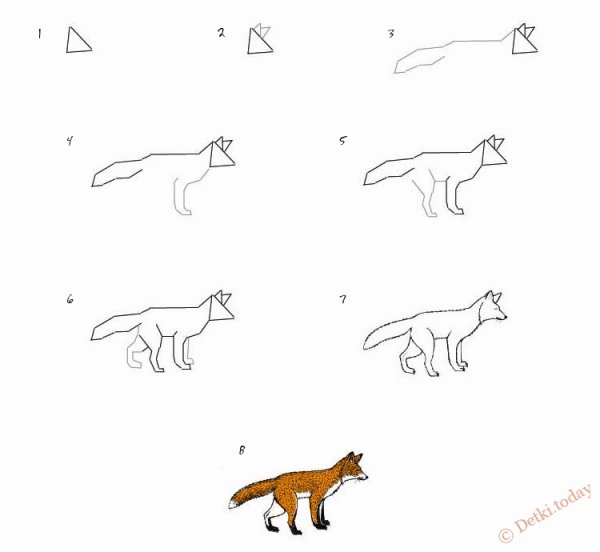 Этапы рисования лисы