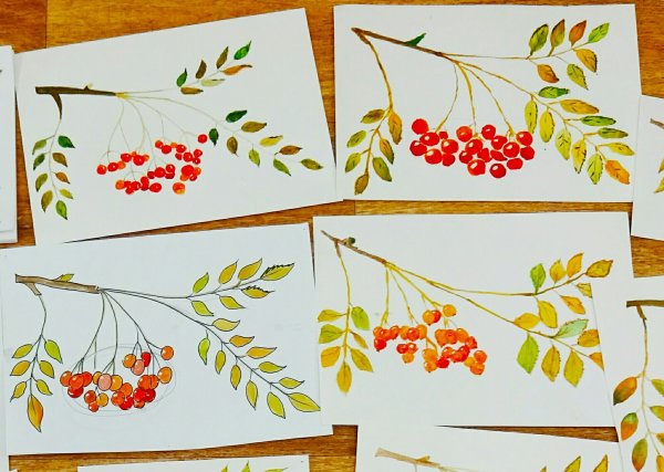 Рисование веточка рябины