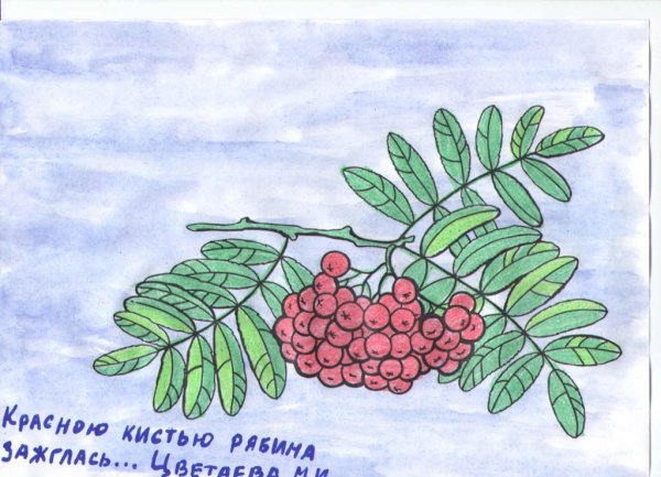 Рисование гроздь рябины
