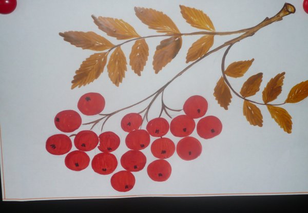 Ветка рябины рисование в подготовительной группе