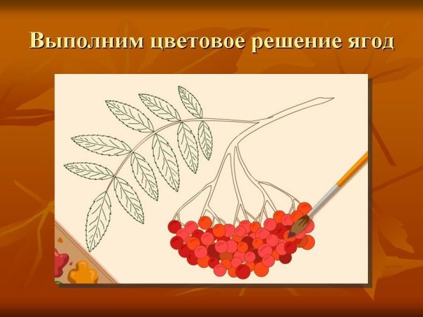 Ветка рябины рисование в подготовительной группе