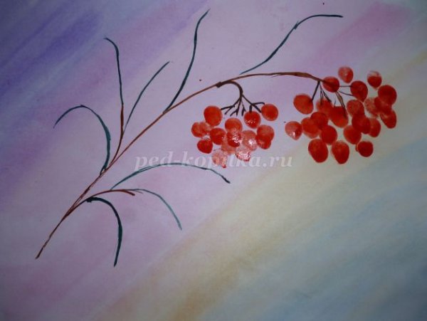 Рисование в средней группе гроздь Рябинки