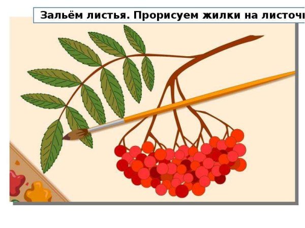 Кисть Рябинки гроздь Калинки