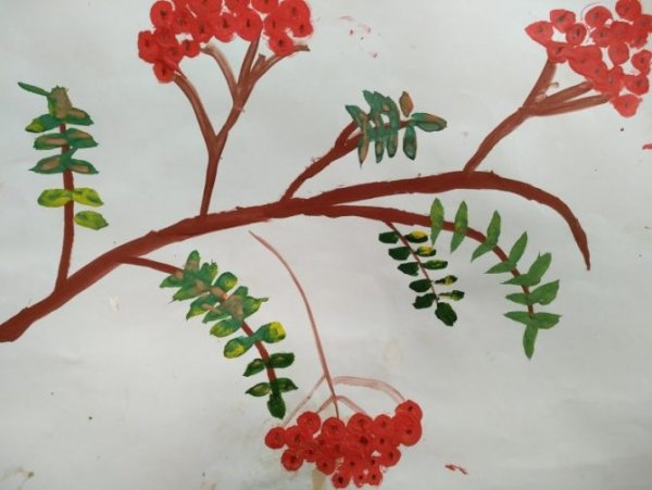 Нарисовать красивую веточку рябины