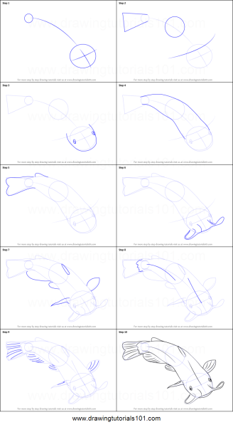 Рисование сома поэтапно