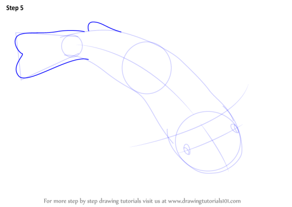 Сом рисунок поэтапно