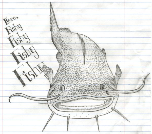 Поэтапное рисование сома