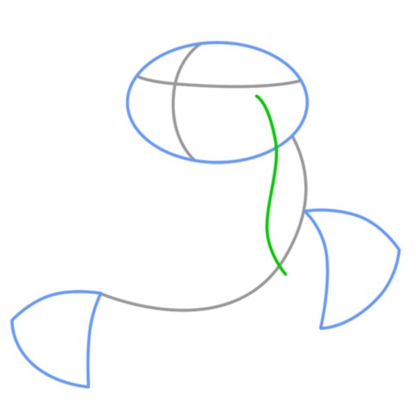 Рисунок сома карандашом