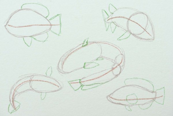 Как нарисовать рыбу