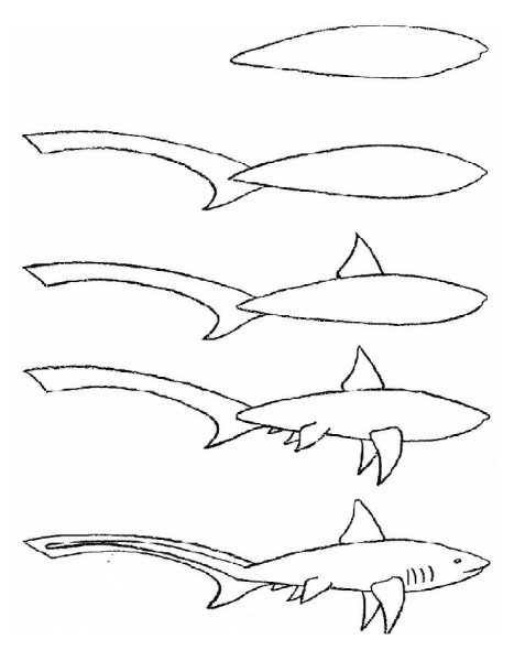 Поэтапное рисование рыбы