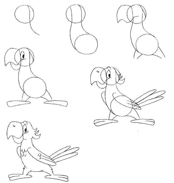 Рисование животных для начинающих