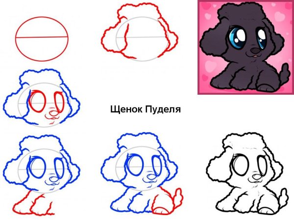 Как нарисовать щенка