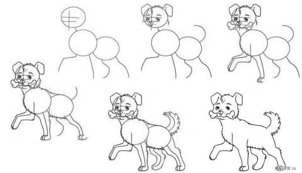 Схема рисования собаки