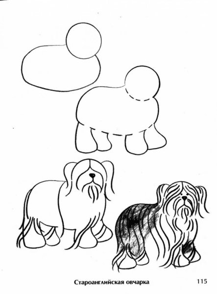 Урок рисования собаки