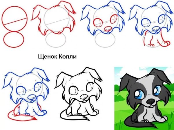 Как рисовать щенка