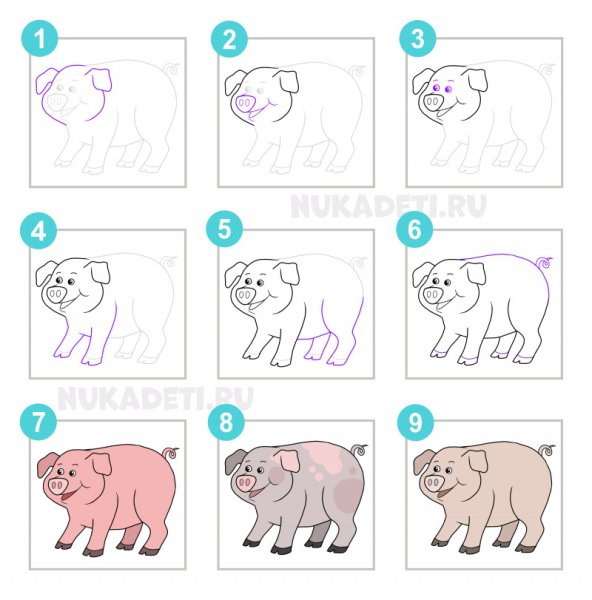 Схема рисования поросенка