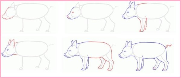 Как нарисовать свинью