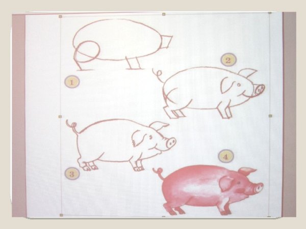 Поросенок рисунок простой