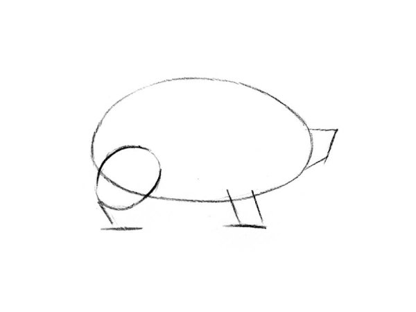 Пошаговый рисунок свинки