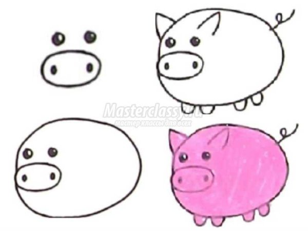 Рисование свинки в средней группе