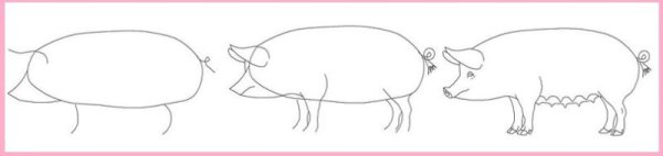 Свинки нарисовать правдоподобно