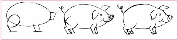 Как нарисовать свинью поэтапно карандашом легко и красиво