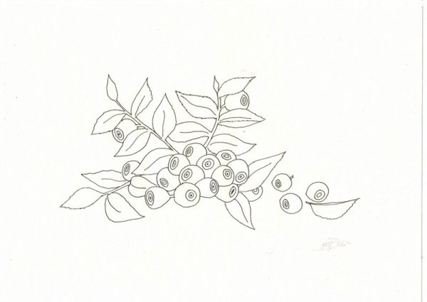 Поэтапное рисование черники