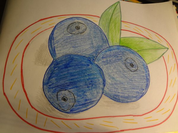 Черника для срисовки