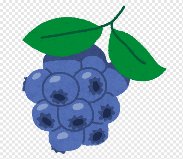 Кустик черники рисунок