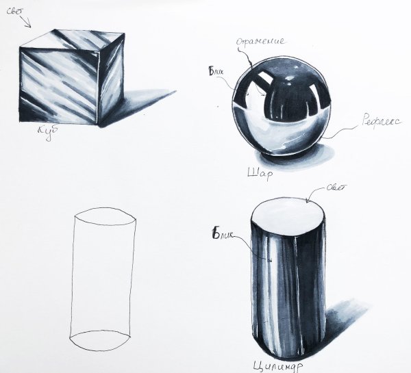 Основы светотени в рисунке