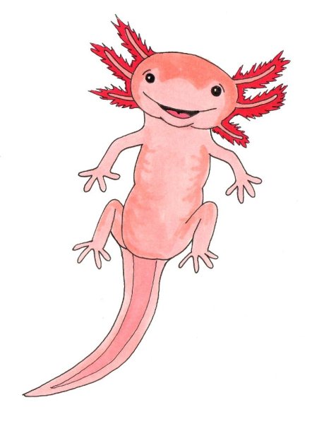 Аксолотль ФОРТНАЙТ