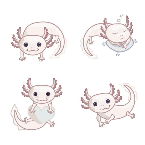 Аксолотль нарисованный