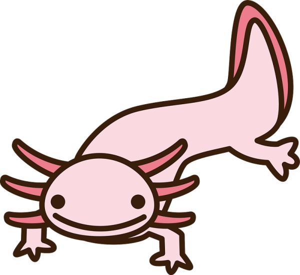 Аксолотль мультяшно