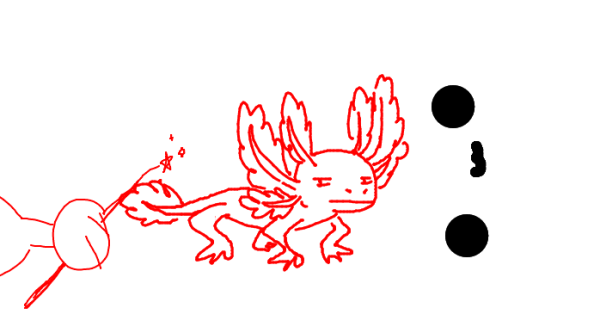 Лайны аксолотлей