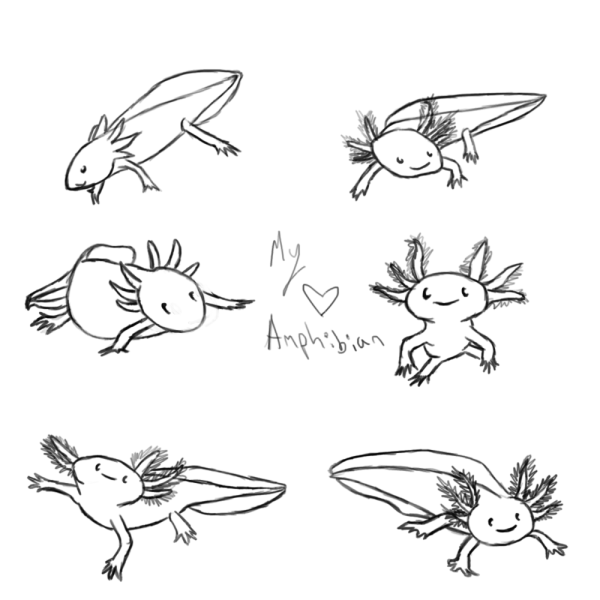 Аксолотль скетч